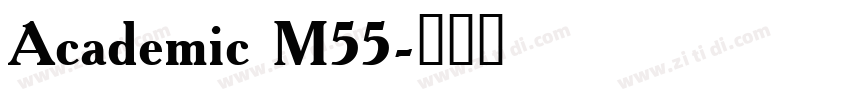 Academic M55字体转换